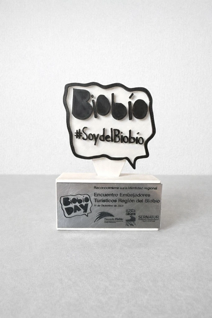 Biobío Soy del Biobío